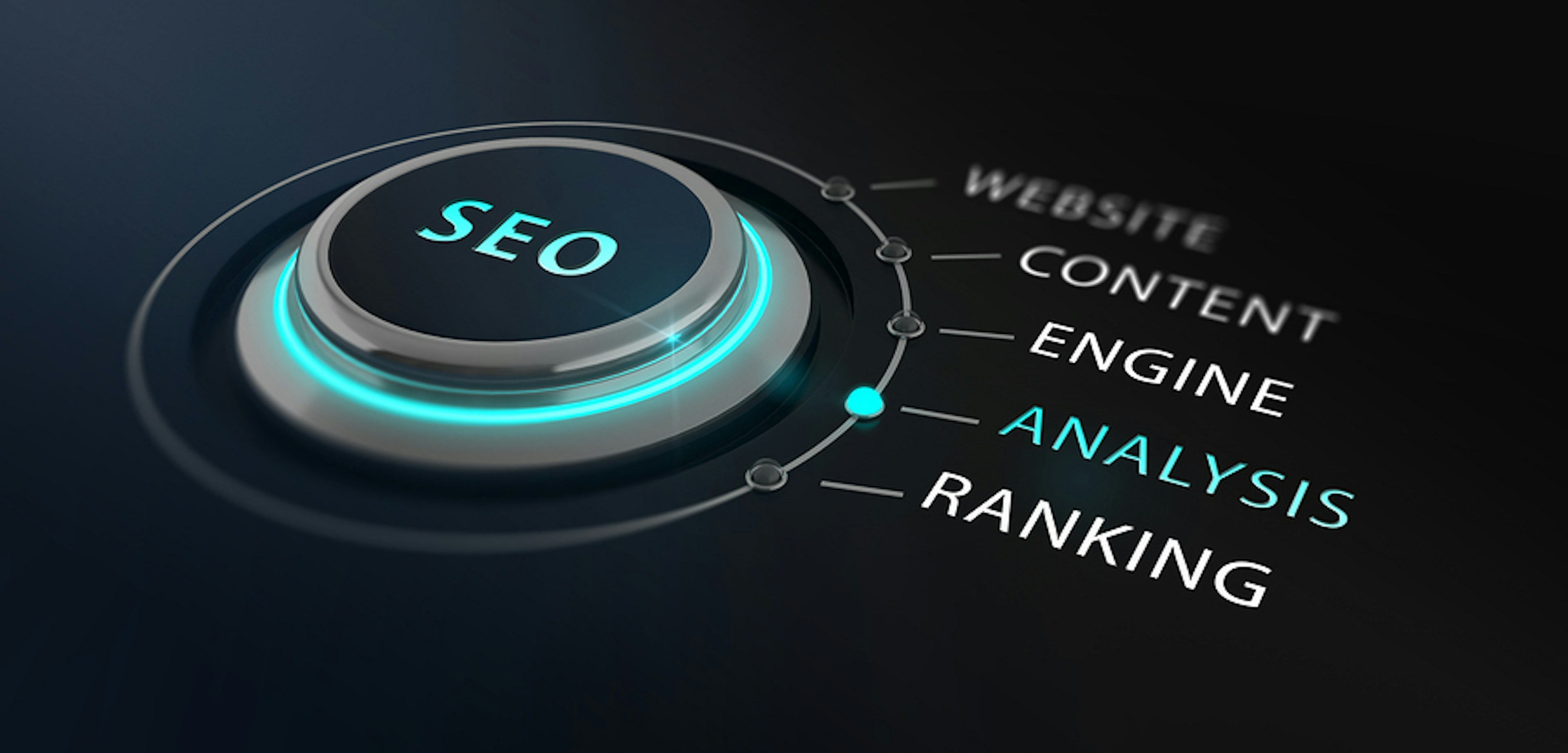 What To Expect From Your Potential SEO Partner